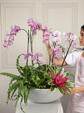 Arreglo de Orquideas Amazonas (Solo en Medellín)